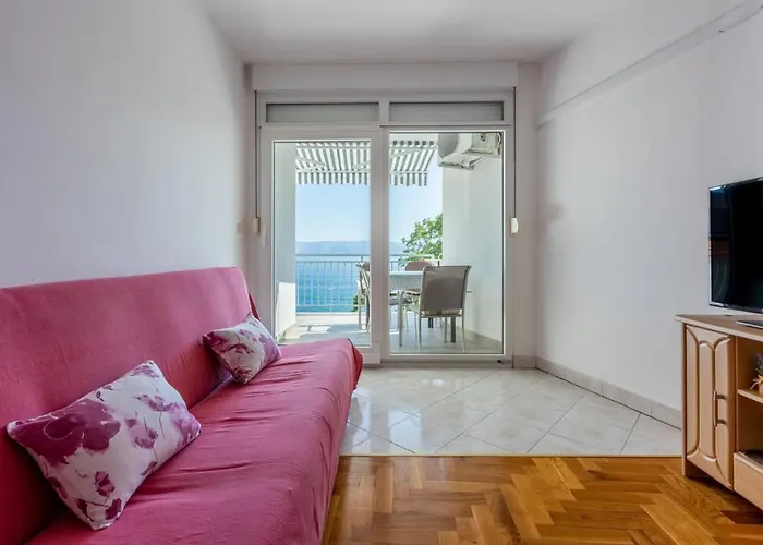 Apartment Pasalic Novi *